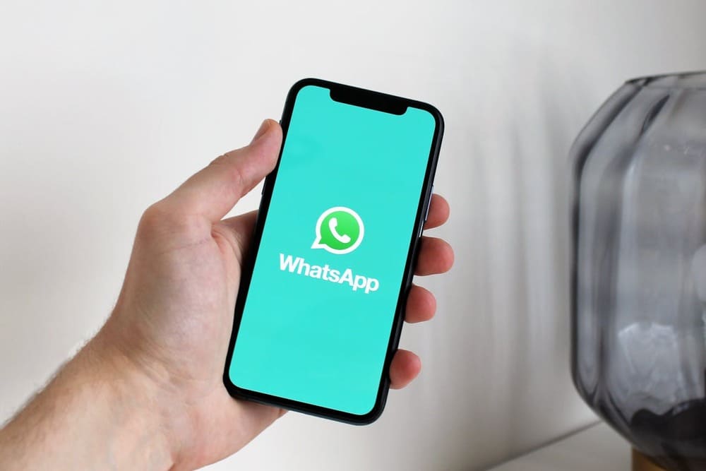 cara membuat wa centang 1