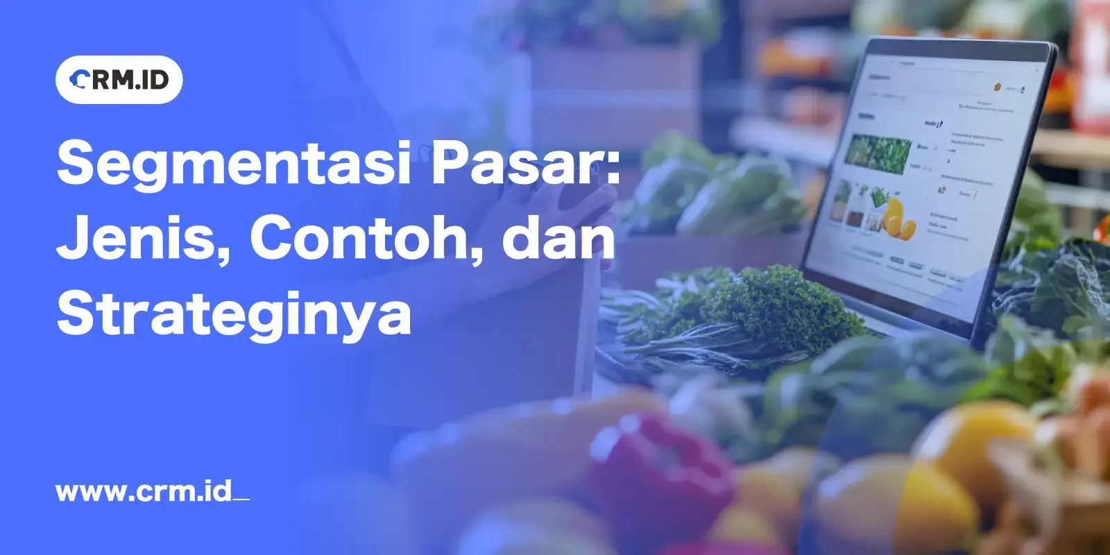 segmentasi pasar banner